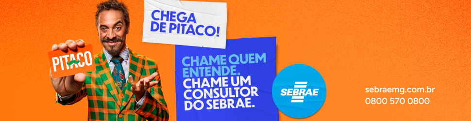 Sebrae Campanha Institucional 2024